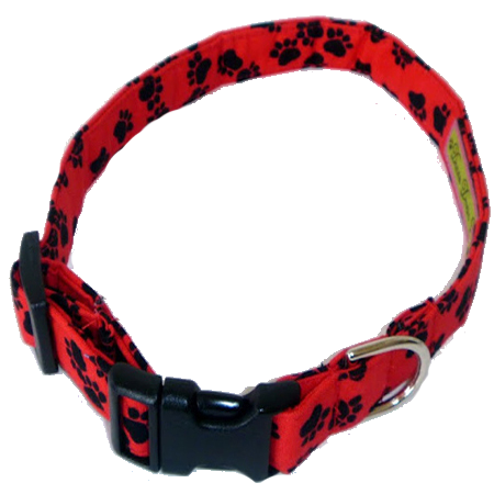 A Walk in the Park Collar