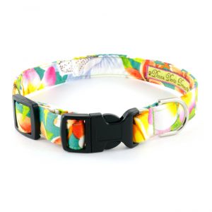 Tropical Punch Collar