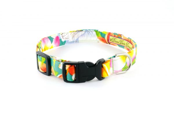 Tropical Punch Collar