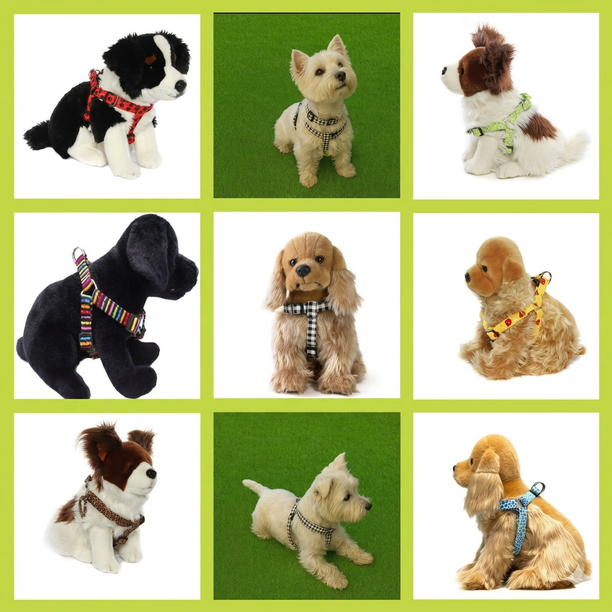 Dog wearing Donna Devlin step-in harness